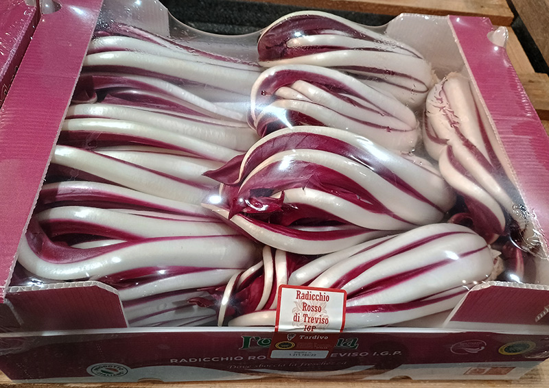 Radicchio Rosso di Treviso IGP - 7/7,50 euro al chilogrammo